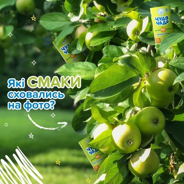 ЧУДО-ЧАДО Сок яблоко прямого отжима 200мл